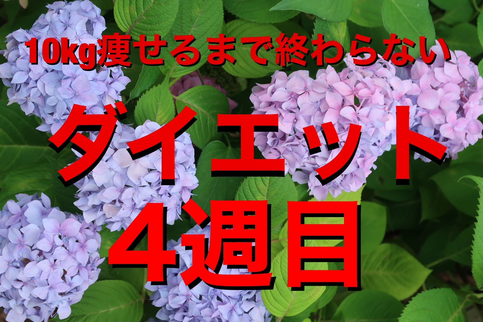 ダイエット4週目